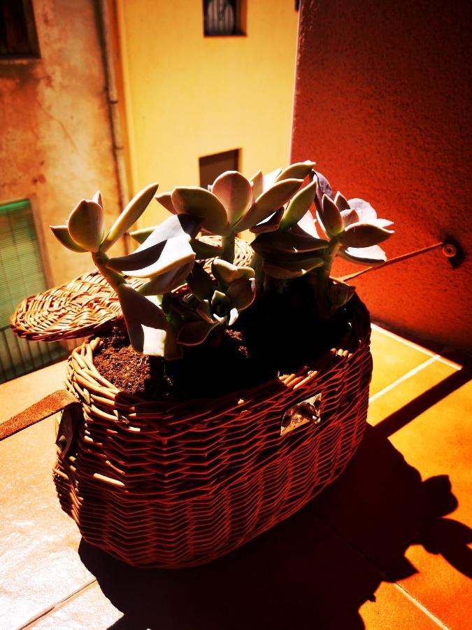 Cornu Karma Apartment Siuranella Cornudella de Montsant Εξωτερικό φωτογραφία
